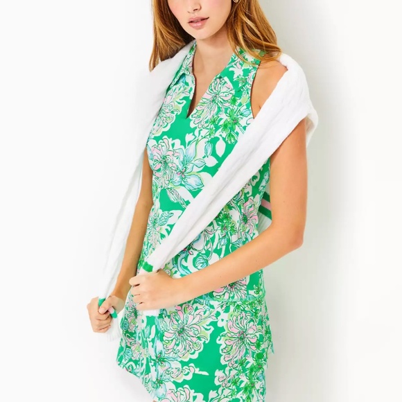 Lilly Pulitzer Dania Dress - Picture 1 of 4
